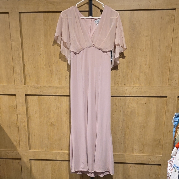 Alexa B Nites Dresses & Skirts - (J57) Alexa B Nites Maxi Dress with Flutter Sleeves Sz 8P Rose Blush Color
